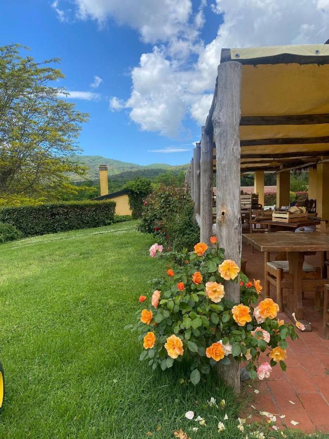 Agriturismo Santa Lorica 萨塞塔 外观 照片
