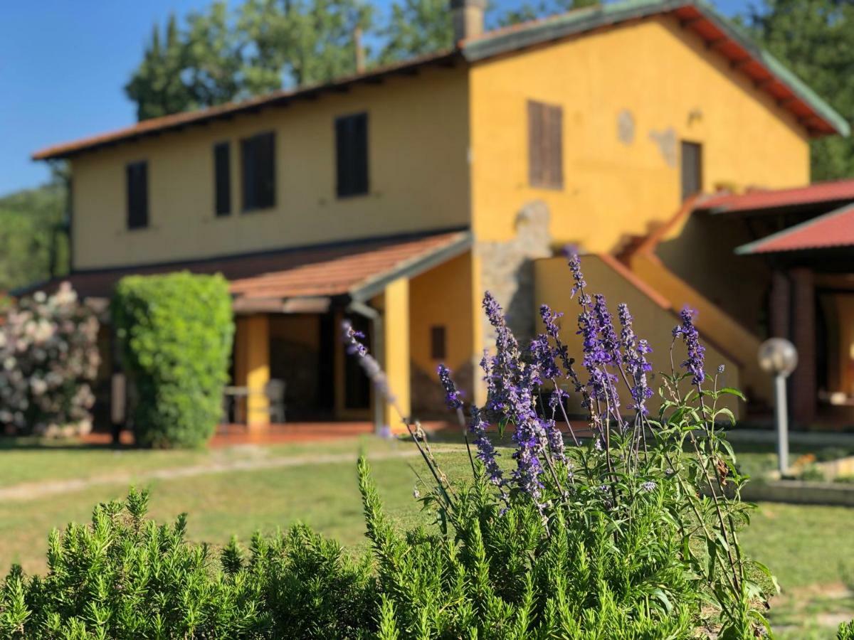 Agriturismo Santa Lorica 萨塞塔 外观 照片