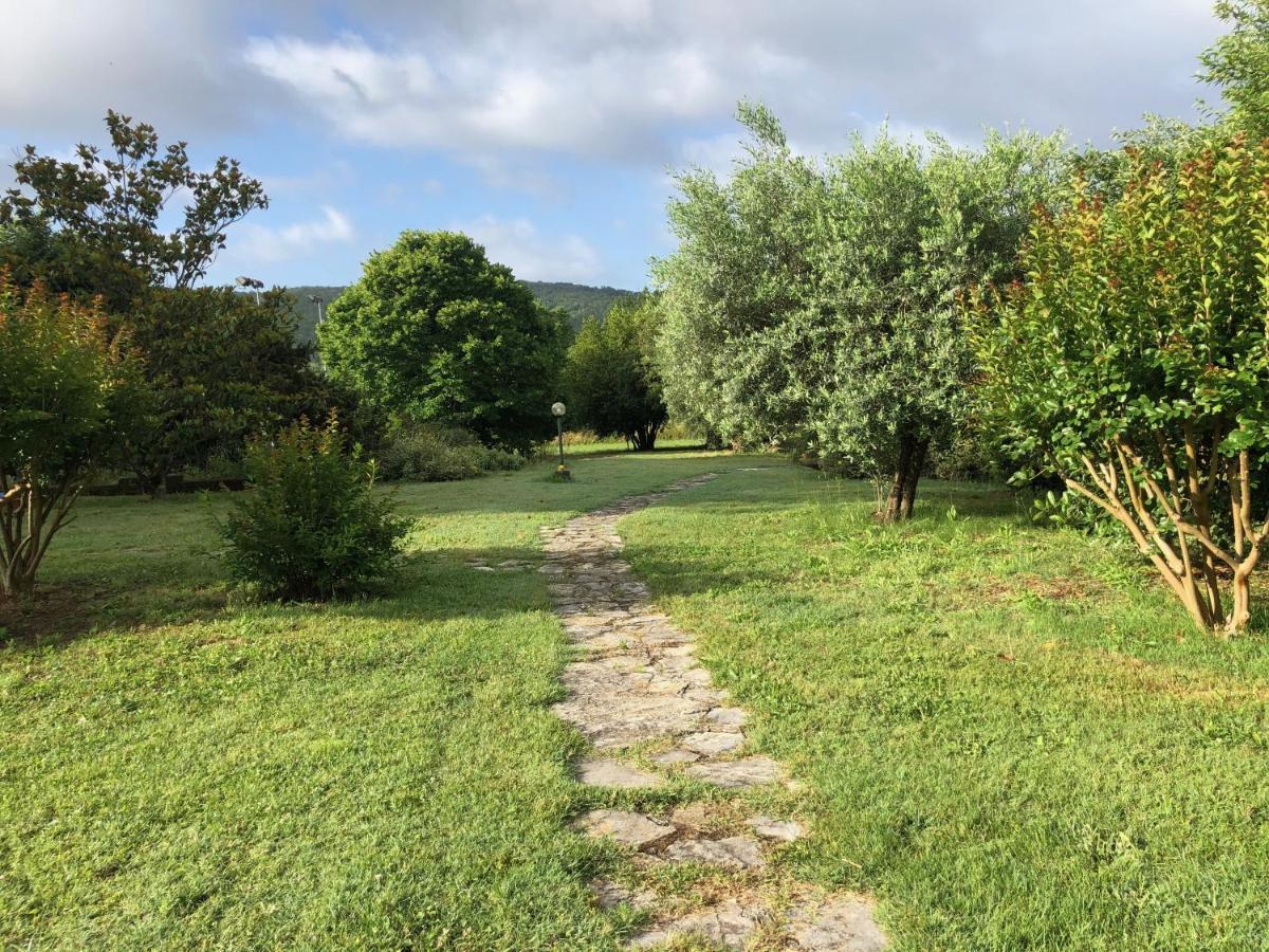 Agriturismo Santa Lorica 萨塞塔 外观 照片