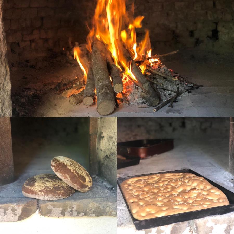 Agriturismo Santa Lorica 萨塞塔 外观 照片