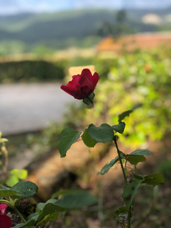 Agriturismo Santa Lorica 萨塞塔 外观 照片
