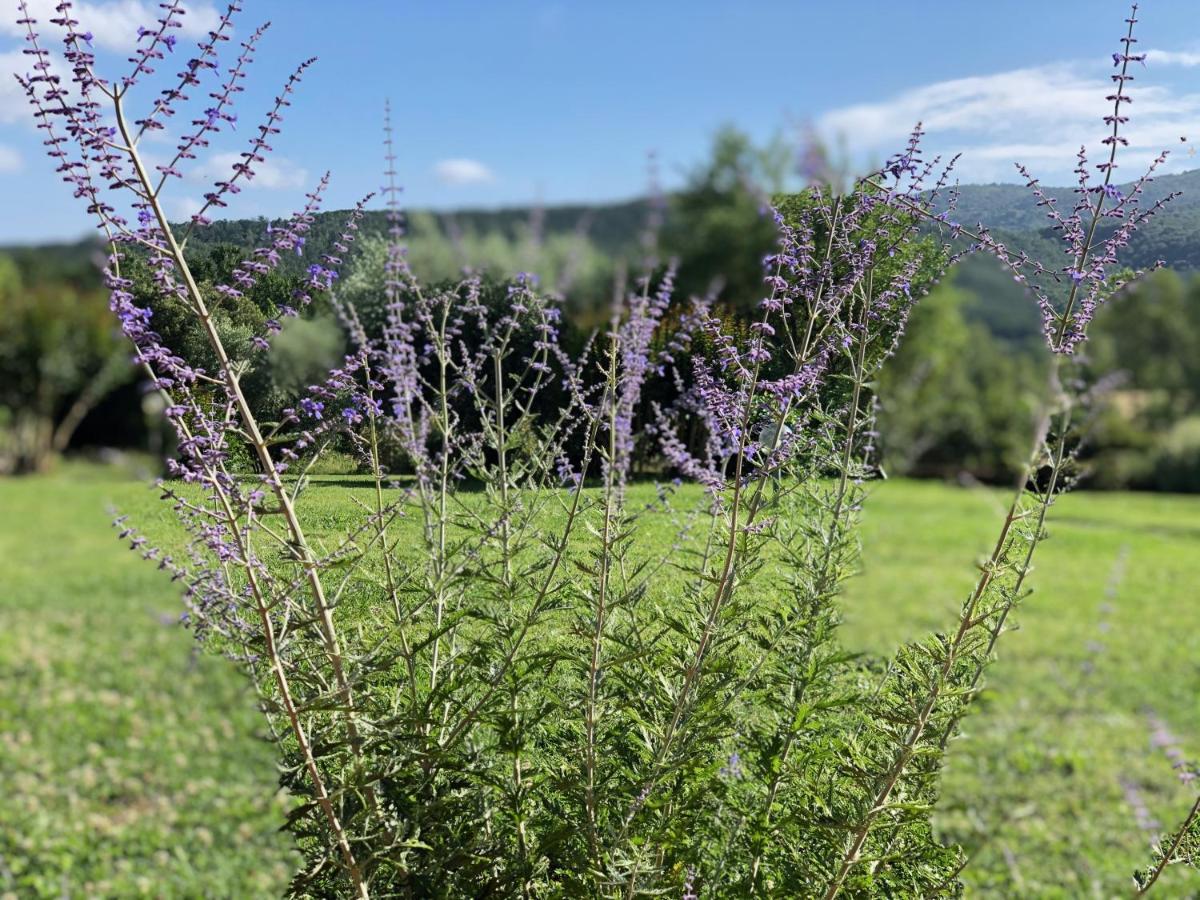 Agriturismo Santa Lorica 萨塞塔 外观 照片